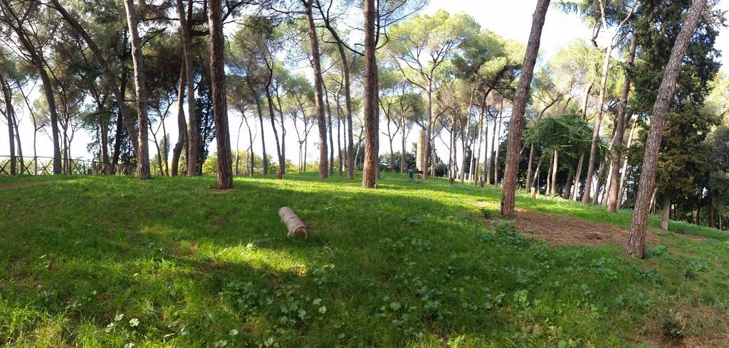 Holiday Home Roma * Roma